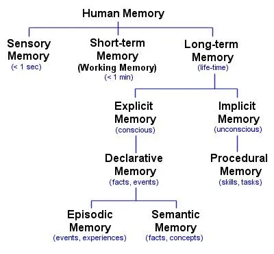 Types of Memory in human mind